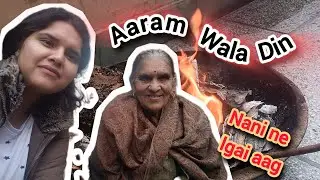 75 age mein Nani ne rakha Sakat Chauth ka vratt wala Vlog || Tasty khana bnaaya || feat. thevanslife