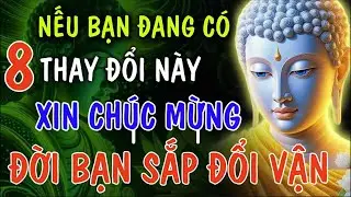 Nếu Bạn Đang Có   8 Dấu Hiệu Này Là Điềm Báo Trời Độ   Đời Bạn Sắp Đổi Vận