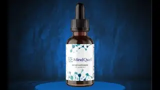 MindQuell Review 2025 &ndash; Does This Brain Booster Really Work or Scam