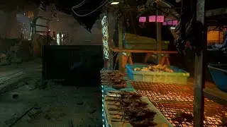 tar Citizen Ambience | Pyro Station &ndash; Aloprats BBQ | Sci-Fi Street Food ASMR