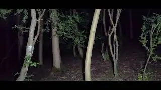 #ghosthunting #scary Babes in The Woods 1986 Two 9 Year old Girls) Brutally Murdered Found in Woods