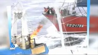 1994: la guerre du thon