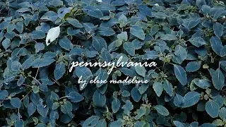 Elise Madeline - pennsylvania (official lyric video)