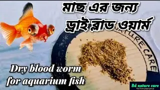 মাছ এর জন্য ড্রাইব্লাডওয়ার্ম 😃🪱। Dry blood worms for fish. #bdnaturecare #bloodworm #aquariumfish