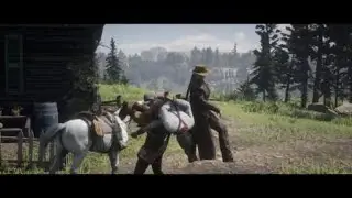 Sadie antler's invisible horse Red Dead Redemption 2