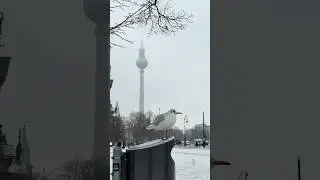 Berlin&rsquo;s snowiest winter #winterinberlin   #berlinphotography #snowday