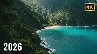 Ultimate Deep House Mix 2026 🌃 Late Night Chill Grooves & Smooth Atmosphere Vol.95