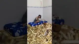 Top Million View Videos of Phung An Family 🤯 p3  #short , #phunganfamily