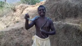 Ek deshi  admi dhaman  sanp pakra