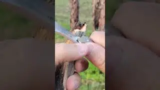 Ruike Knife #sharp #bushcraft #survuval #knife #reel #shorts #video #videos #nature