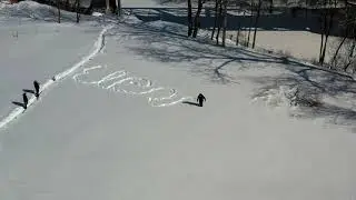 Supporting Eleanor in the snow
