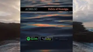 Debris Of Nostalgia - Distant Sign
