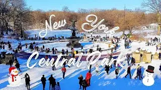 Central Park Snow Walk Highlights Beautiful White Snow & Frozen Ponds