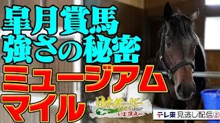 【公式】ミュージアムマイル皐月賞勝利の舞台裏 日本一を知るスタッフたちと馬の物語｜日本ダービー2025 いま頂点へ