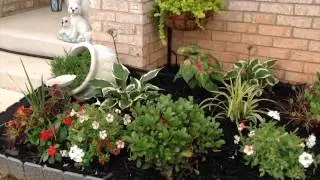 6bc summerflowers