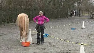 Flash RRP pauze met richting 2feb2026