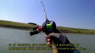 Bibanii, BFS-ul si mileul - Bait Finesse Style