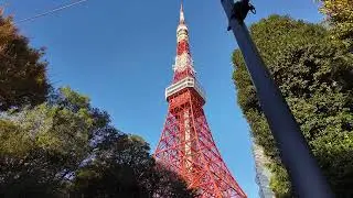 The Locals' Secret View of Tokyo Tower