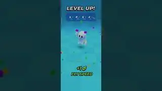 Hello guys iam training my champion for race
