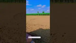 #baghpat #roshanghad #pilana #indian #viral #video #famous