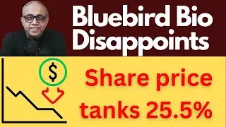 This is why Bluebird Bio (BLUE)  share price tanked 24% today.