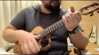 Stairway to heaven ukulele cover on Flight Fireball