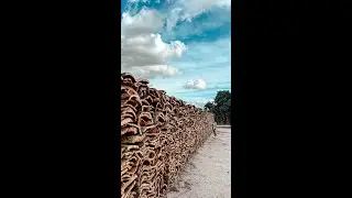 From &Eacute;vora to Elvas &mdash; Discovering Portugal&rsquo;s Cork Industry at Corticarte 🪵