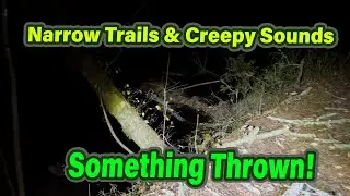 Narrow Trails & Eerie Sounds (Part 1)