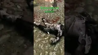 Bandit Army Breech Whiterun and only the Mighty Companion's are left to Defend the City!