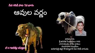 ఆవుల వర్ణం సేవ గరిడీ పాట 🙏//d v reddy vlogs //best telugu devotional song //viral video