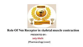 Role of Nm Receptor in Skeletal Muscle Contraction