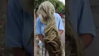 Longest Freeform Locs Ever?! #dreads #dreadlocks #locstyles #freeformlocs #jamaica #shorts