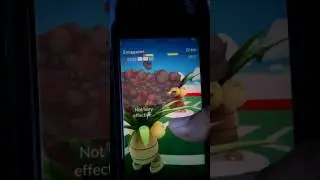 Fighting Ditto in a gym - Pokemon Go