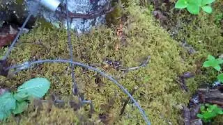 Самодельная силовая установка BEAR SNARE и метатель. СДЕЛАЙТЕ СВОЙ СОБСТВЕННЫЙ САМОДЕЛ, часть 2