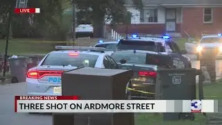 Two juveniles, one adult shot in Frayser