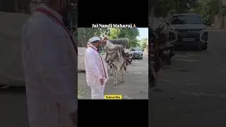 Ja nandi maharaj ki👏👏&hearts;️#nandi #hariom #shiv #shanker #suscribe #like #share