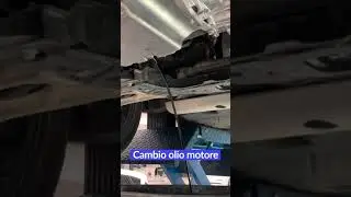 Service Stracciari: il nostro tagliando