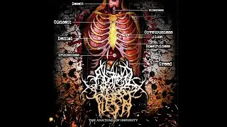 Abated Mass Of Flesh (Brutal Death Metal) :The Anatomy of Impurity  (Full EP)