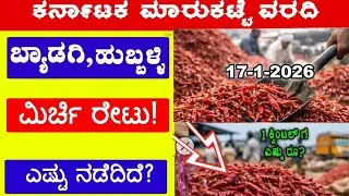 ಒಣ ಮೆಣಸಿನಕಾಯಿ ಬೆಲೆಯಲ್ಲಿ ಭಾರಿ ಏರಿಕೆ 😱 | Karnataka Dry Chilli Rate Today l #drychilli l @BealertJob 