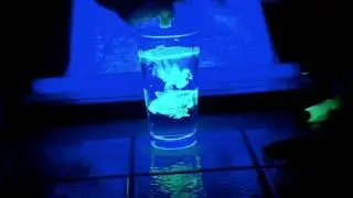 How To Create an AWESOME Glowing Neon Lighting Effect!