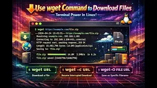 Use wget Command to Download Files – Terminal Power in Linux!