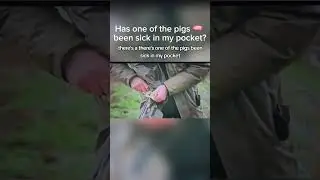 has one of the pigs been sick in my pocket? #foryou #shorts #jeremyclarkson #clarksonsfarm #farming