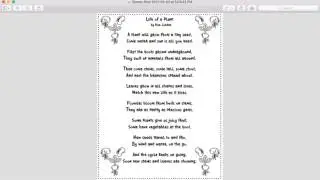 Life of a Plant Poem