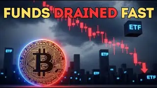 Blackrock IBIT ETF SEES Major Outflows &ndash; What It Signals for Bitcoin Spot ETFs
