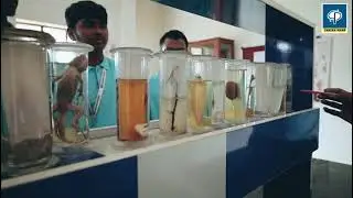 Career Point Nagpur: Full Tour of the ButiBori Residential Program