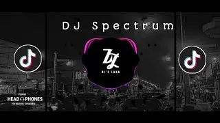 DJ Spectrum (Speed & Reverb)🎶🎧