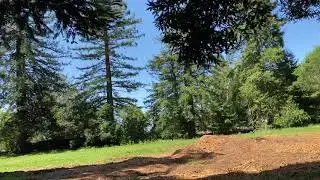 Five inch build test flight(flight number 4)