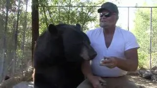 Henry the Bear, Mitchell, Oregon