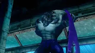 Bloody Roar 4: Gado vs Shen Long