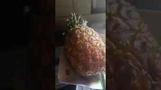 Passando para mostrar como ficou meu amorzinho dessa quinta-feira